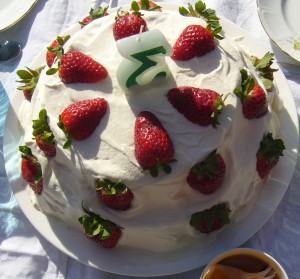 Strawberry Cake