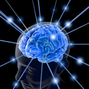image of active brain